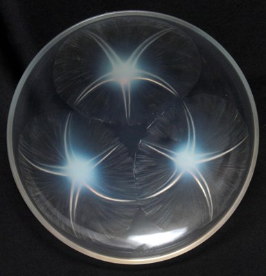 Lot 38 - A R LALIQUE VOLUBILIS OPALESCENT GLASS DISH...