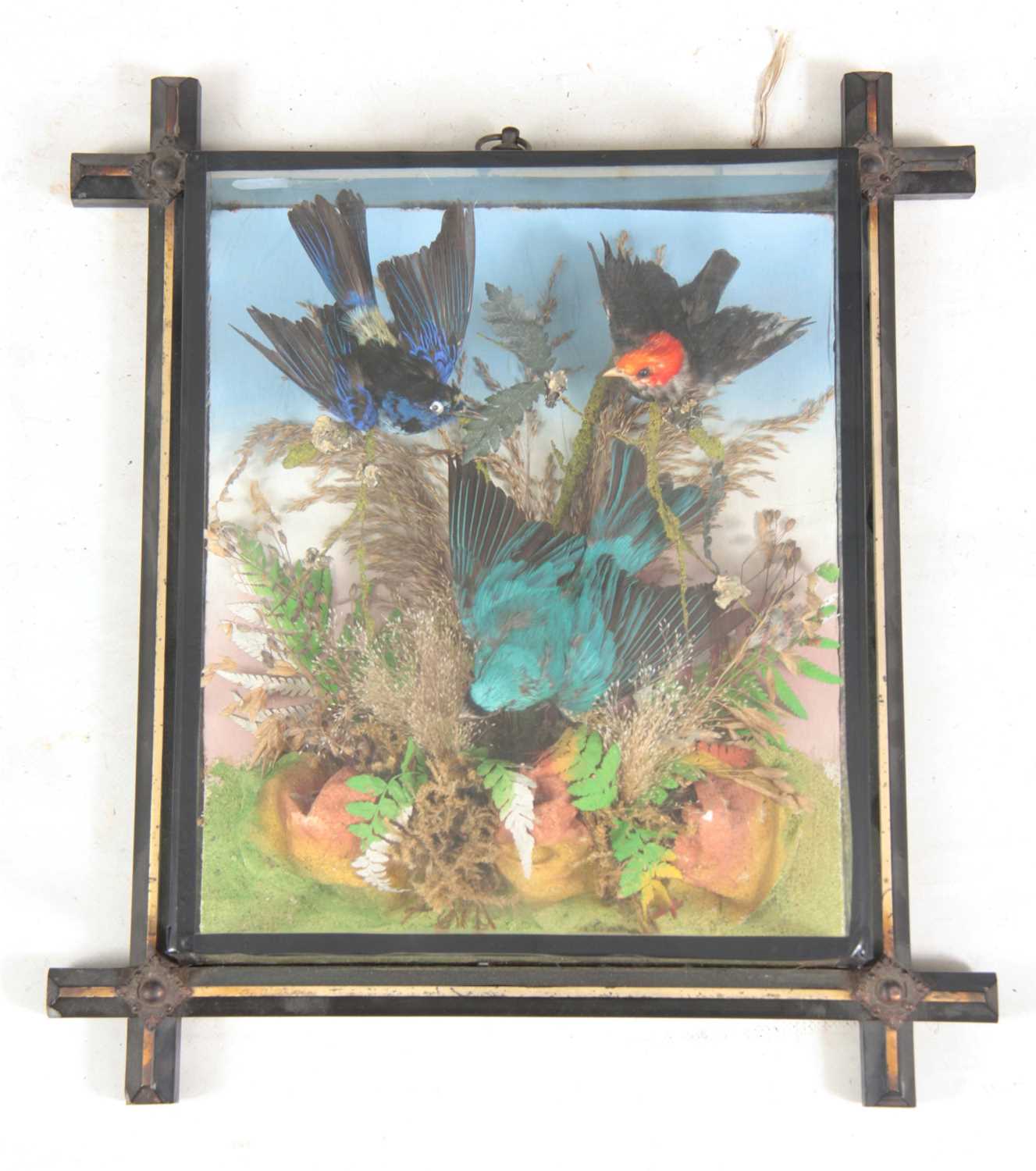 Lot 297 - A LATE 19TH CENTURY TAXIDERMY WALL MOUNTED...