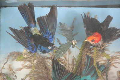 Lot 297 - A LATE 19TH CENTURY TAXIDERMY WALL MOUNTED...