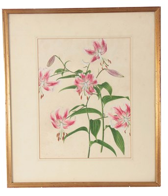 Lot 373 - 19TH CENTURY WATERCOLOUR DRAWING spray of pink...