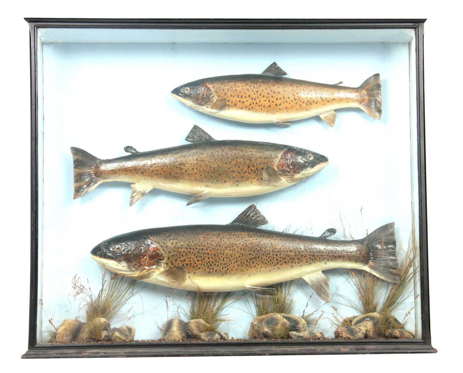 Lot 357 - A LARGE EARLY 20TH CENTURY CASED TRIO OF