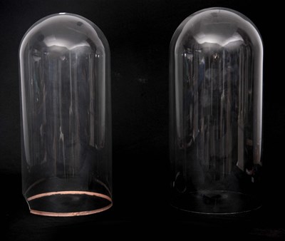 Lot 240 - TWO 19TH CENTURY CYLINDRICAL GLASS DOMES 45cm...