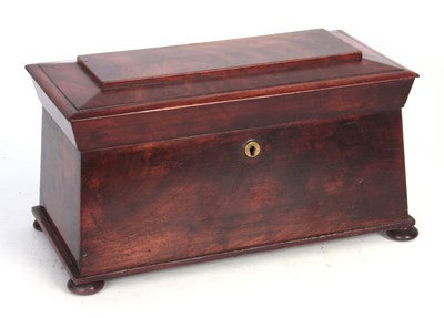 Lot 497 - A 19TH CENTURY FLAME MAHOGANY SARCOPHAGUS...