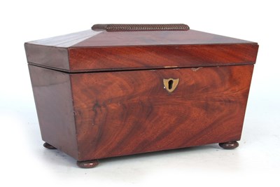 Lot 498 - A 19TH CENTURY FLAME MAHOGANY SARCOPHAGUS...