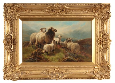 Lot 566 - WILLIAM WATSON 1831 - 1921 OIL ON CANVAS Sheep...