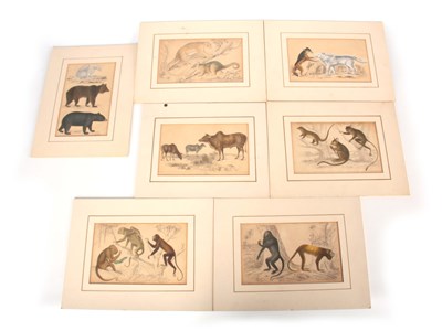 Lot 629 - A COLLECTION OF SEVEN 19TH CENTURY HAND...