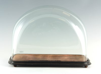 Lot 537 - AN UNUSUAL 19TH CENTURY GLASS DOME ON EBONIZED...