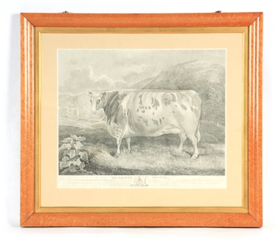 Lot 755 - AN EARLY 19TH CENTURY ENGRAVING OF THE CRAVEN...