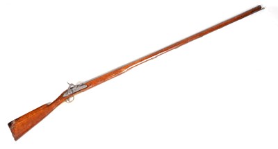Lot 368 - A GEORGE III MILITARY OVERSIZED MUSKET BY TOWER WITH 55" BARREL