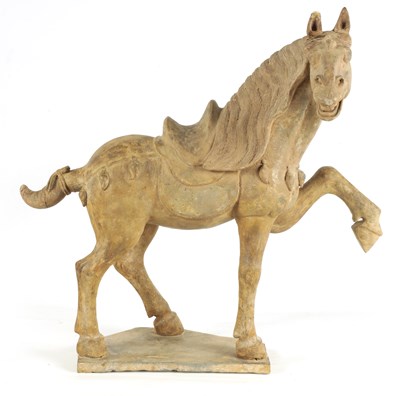 Lot 176 - A CHINESE EARTHENWARE MODEL OF A TANG HORSE