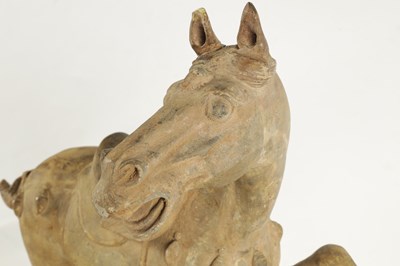 Lot 166 - A CHINESE EARTHENWARE MODEL OF A TANG HORSE