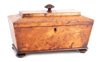 Lot 685 - A REGENCY SARCOPHAGUS BURR ELM TEA CADDY