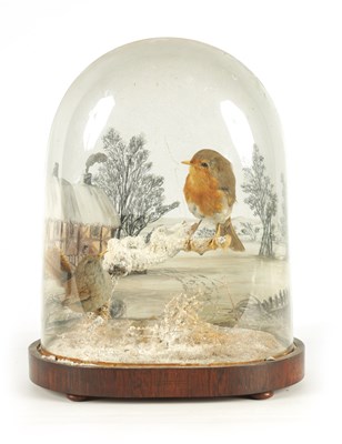 Lot 635 - A 19TH CENTURY TAXIDERMY MODEL OF A FEMALE AND MALE ROBIN