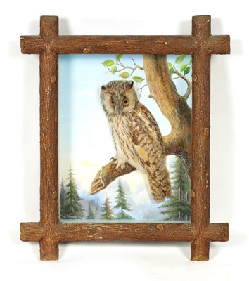 Lot 643 - A RARE EARLY 20TH CENTURY TAXIDERMY OWL BY DOLESCHEL GRULICH