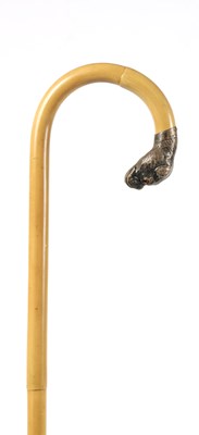 Lot 296 - AN EARLY 20TH CENTURY BAMBOO WALKING STICK WITH SILVER BULLDOG HANDLE