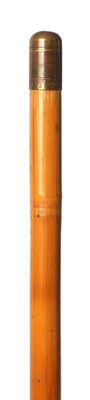 Lot 289 - AN EARLY 20TH CENTURY POACHERS FISHING WALKING STICK