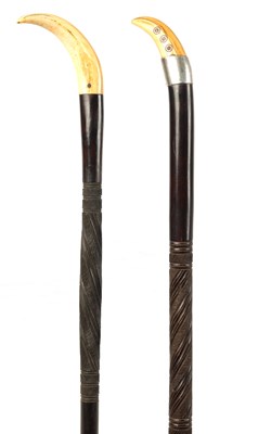 Lot 292 - TWO LATE 19TH CENTURY AFRICAN HARDWOOD WALKING STICKS WITH LION TOOTH AND TUSK POMMELS