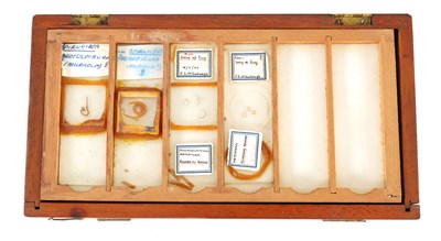 Lot 317 - A BOXED COLLECTION OF 19TH CENTURY SCIENTIFIC SLIDES