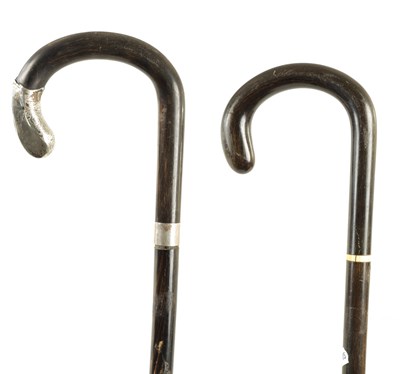 Lot 467 - TWO LATE 19TH CENTURY SOLID HORN WALKING STICKS