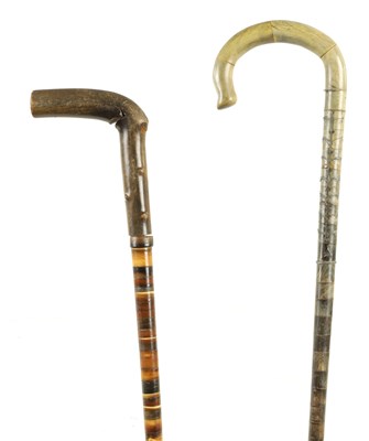 Lot 490 - TWO LATE 19TH CENTURY SEGMENTED HORN WALKING STICKS