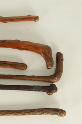 Lot 11 - A COLLECTION OF SIX 19TH CENTURY WALKING CANES