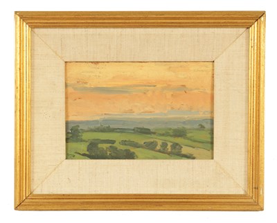 Lot 738 - A SMALL 20TH CENTURY IMPRESSIONIST STYLE OIL ON BOARD