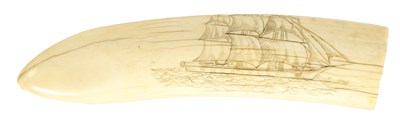 Lot 528 - A LARGE EARLY 19TH CENTURY WHALE'S TOOTH SCRIMSHAW