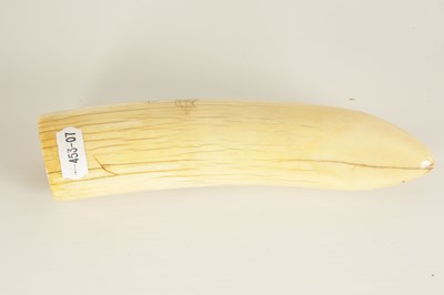 Lot 528 - A LARGE EARLY 19TH CENTURY WHALE'S TOOTH SCRIMSHAW