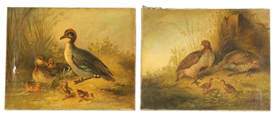 Lot 403 - A PAIR OF 19TH CENTURY OILS ON CANVAS DEPICTING GAME BIRDS