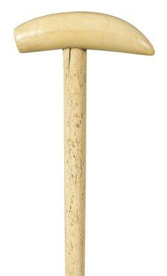Lot 368 - AN EARLY 19TH CENTURY WHALE BONE WALKING STICK WITH WHALE TOOTH HANDLE