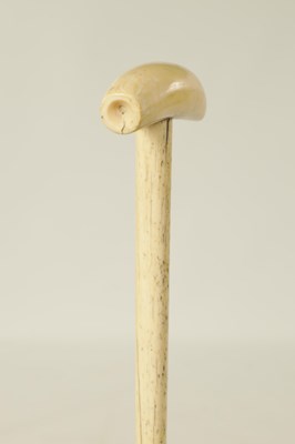 Lot 368 - AN EARLY 19TH CENTURY WHALE BONE WALKING STICK WITH WHALE TOOTH HANDLE