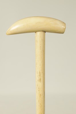 Lot 368 - AN EARLY 19TH CENTURY WHALE BONE WALKING STICK WITH WHALE TOOTH HANDLE
