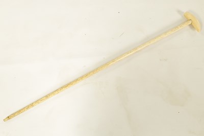 Lot 368 - AN EARLY 19TH CENTURY WHALE BONE WALKING STICK WITH WHALE TOOTH HANDLE