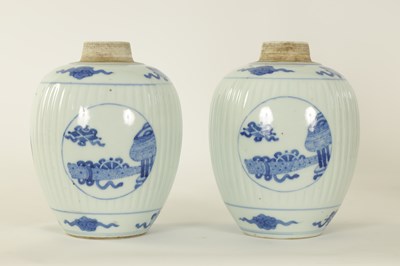Lot 116 - A PAIR OF 19TH CENTURY CHINESE BLUE AND WHITE OVOID VASES