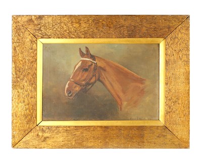 Lot 612 - ALFRED G HAIGH (1870-1963) AN EARLY 20TH CENTURY OIL ON BOARD PORTRAIT OF A HORSE