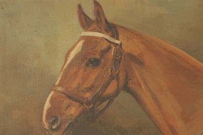 Lot 612 - ALFRED G HAIGH (1870-1963) AN EARLY 20TH CENTURY OIL ON BOARD PORTRAIT OF A HORSE