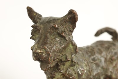 Lot 527 - EDITH BARRETTO PARSONS. A PAIR OF EARLY 20TH CENTURY PATINATED BRONZE CANINE BOOKENDS