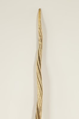 Lot 795 - A FINE 19TH CENTURY NARWHAL TUSK