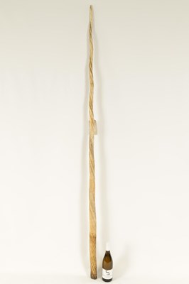 Lot 795 - A FINE 19TH CENTURY NARWHAL TUSK