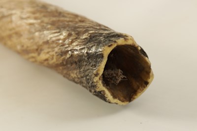 Lot 795 - A FINE 19TH CENTURY NARWHAL TUSK