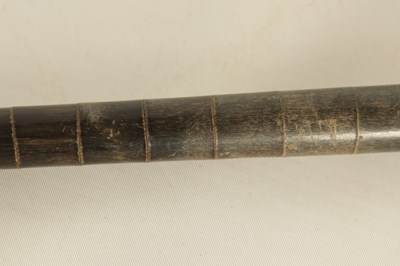 Lot 347 - TWO 19TH CENTURY SEGMENTED HORN WALKING STICKS-POSSIBLY RHINOCEROS