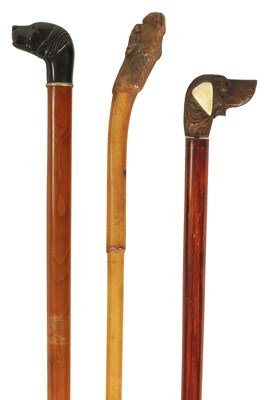 Lot 444 - A SELECTION OF THREE CARVED DOG'S HEAD WALKING STICKS