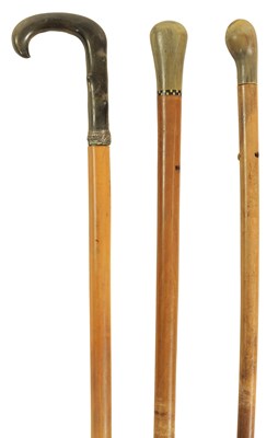 Lot 359 - A SELECTION OF THREE LATE 19TH CENTURY HORN HANDLED WALKING STICKS