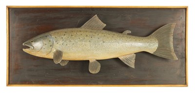 Lot 26 - A 19TH CENTURY STYLE CARVED HANGING MODEL OF A SALMON