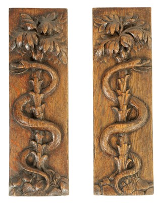 Lot 1045 - A PAIR OF 19TH CENTURY CARVED OAK HANGING PANELS