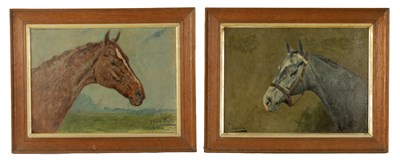 Lot 613 - GEORGE THOMAS PAICE. A PAIR OF EARLY 20TH CENTURY HORSE PORTRAITS