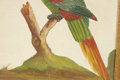 Lot 632 - A GEORGIAN EMBOSSED PAPERWORK BIRD PORTRAIT OF A PARROT IN THE MANNER OF SAMUEL DIXON