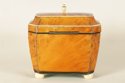 Lot 582 - A REGENCY TORTOISESHELL AND IVORY BANDED SARCOPHAGUS TEA CADDY