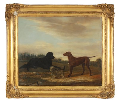 Lot 872 - A 19TH CENTURY OIL ON CANVAS THREE DOGS IN A LANDSCAPE