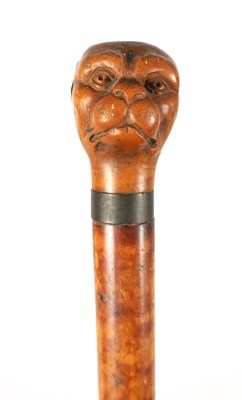 Lot 451 - A LATE 19TH CENTURY CARVED BOXWOOD DOG'S HEAD WALKING CANE